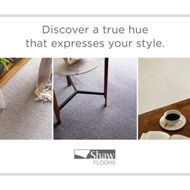Discover a true hue that expresses your style - Casual Carpets in Springfield